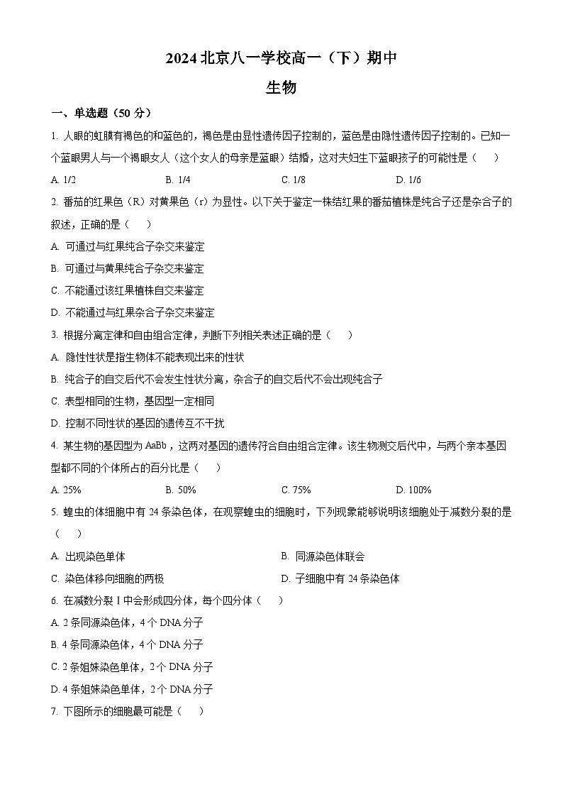 北京市八一学校2023-2024学年高一下学期期中生物试题（原卷版+解析版）01