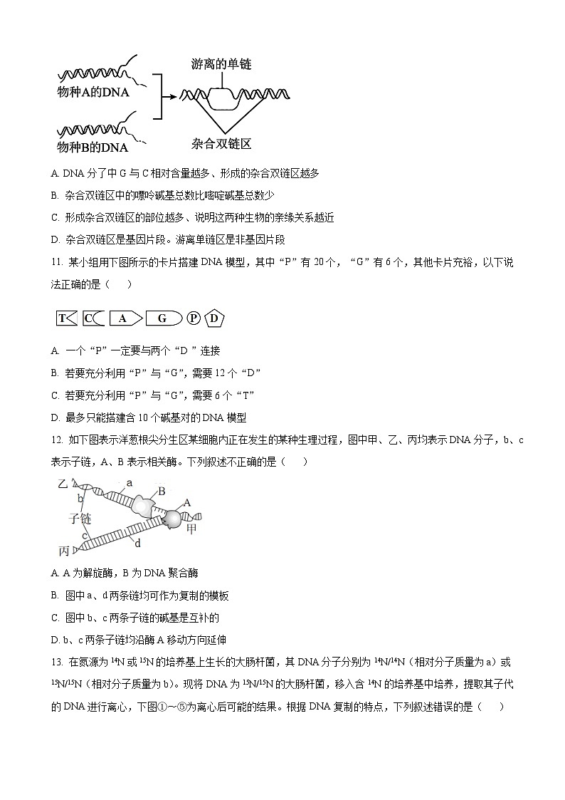 福建省福州市福州八县一中2023-2024学年高一下学期4月期中生物试题（原卷版）第3页