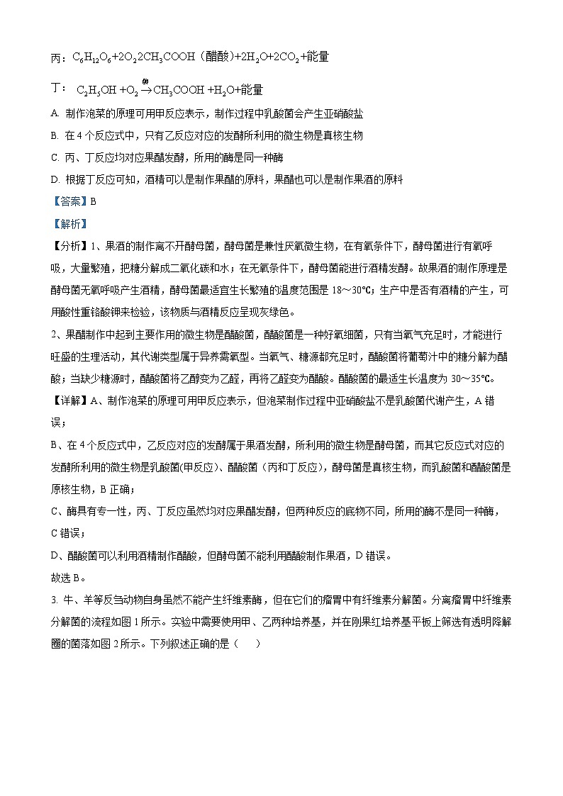 河南省濮阳市普通高中2023-2024学年高二下学期4月期中考试生物试题（原卷版+解析版）02