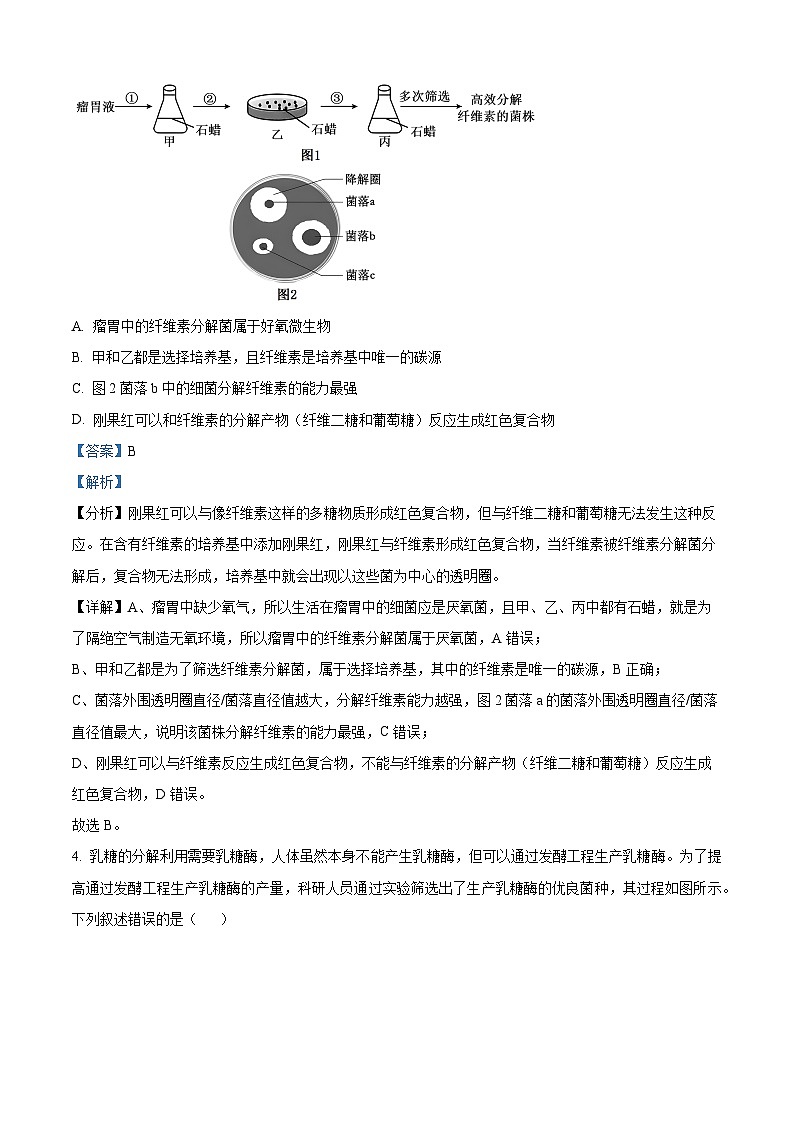 河南省濮阳市普通高中2023-2024学年高二下学期4月期中考试生物试题（原卷版+解析版）03