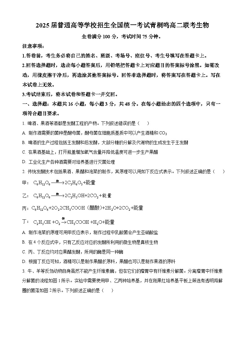 河南省濮阳市普通高中2023-2024学年高二下学期4月期中考试生物试题（原卷版+解析版）01