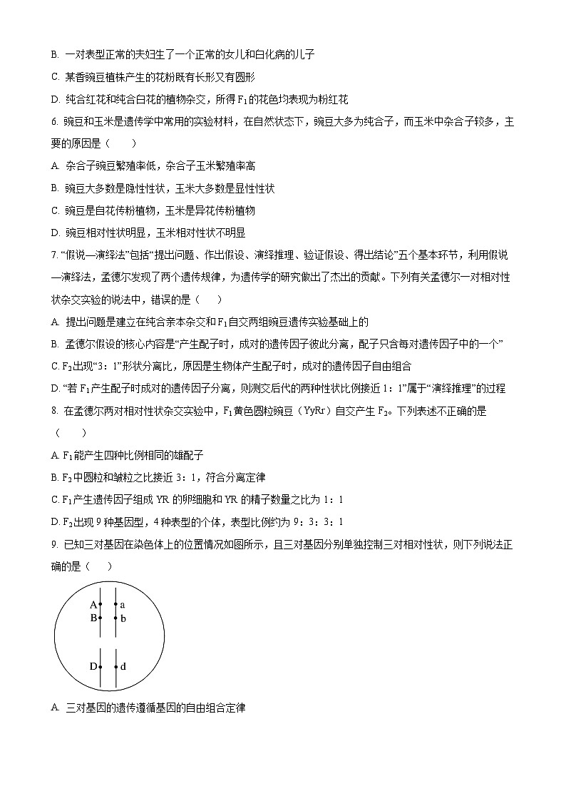 河南省郑州市十校2023-2024学年高一下学期期中联考生物试卷（原卷版+解析版）02