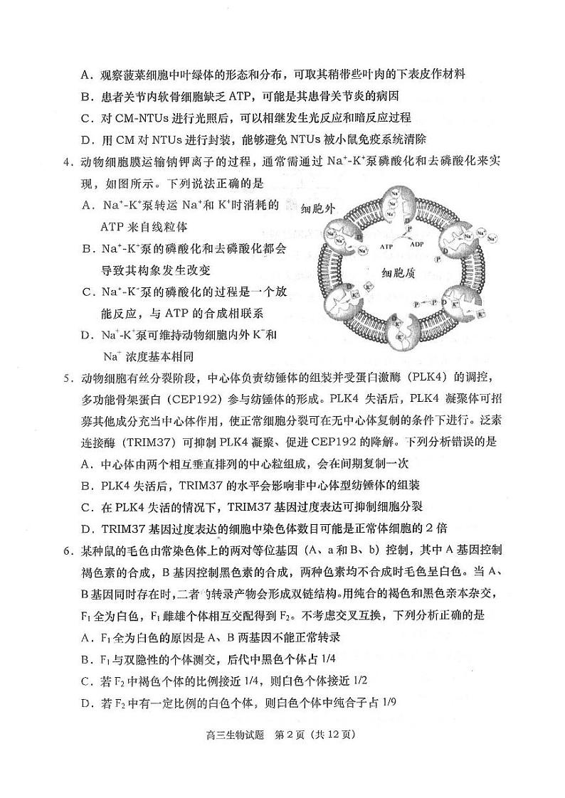 2023-2024学年山东省青岛市四区统考高三上学期期中考试生物试卷（含答案）02