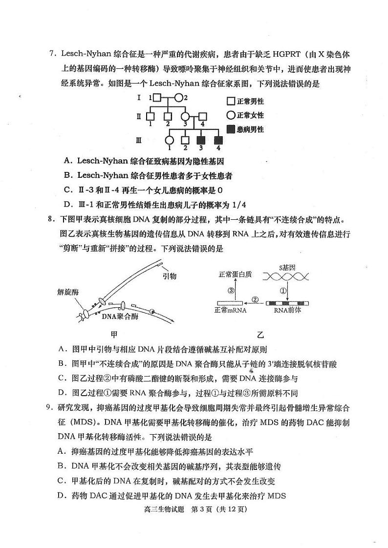 2023-2024学年山东省青岛市四区统考高三上学期期中考试生物试卷（含答案）03