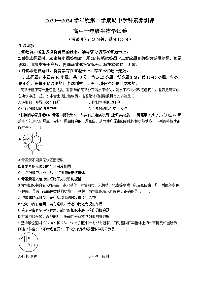 广东省茂名市化州市2023-2024学年高一下学期期中考试生物试题(无答案)第1页