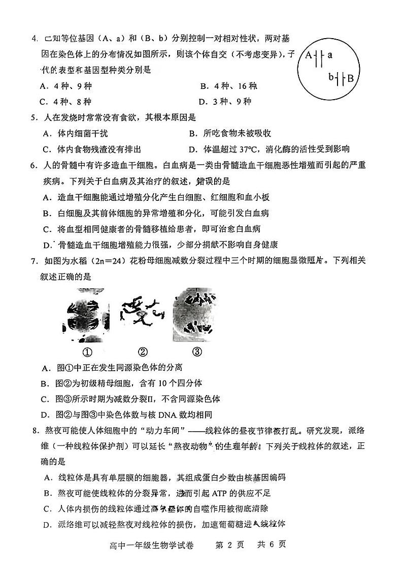 广东省茂名市化州市2023-2024学年高一下学期期中考试生物试题02