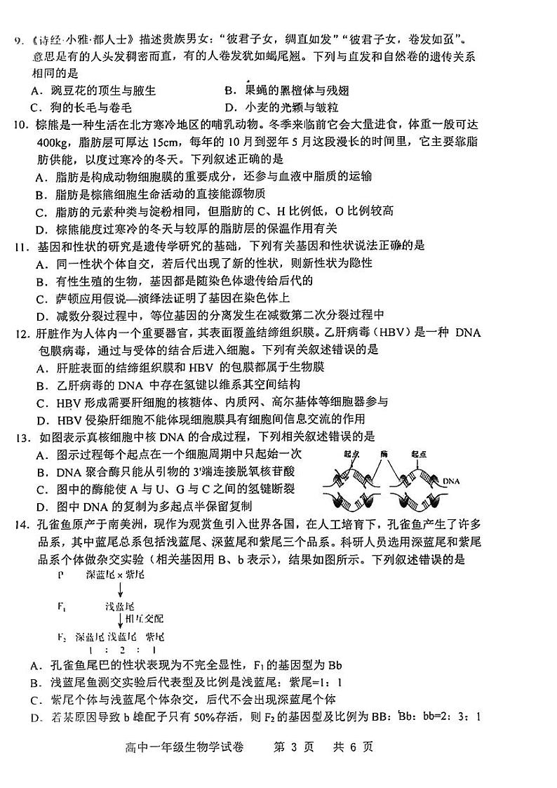 广东省茂名市化州市2023-2024学年高一下学期期中考试生物试题03