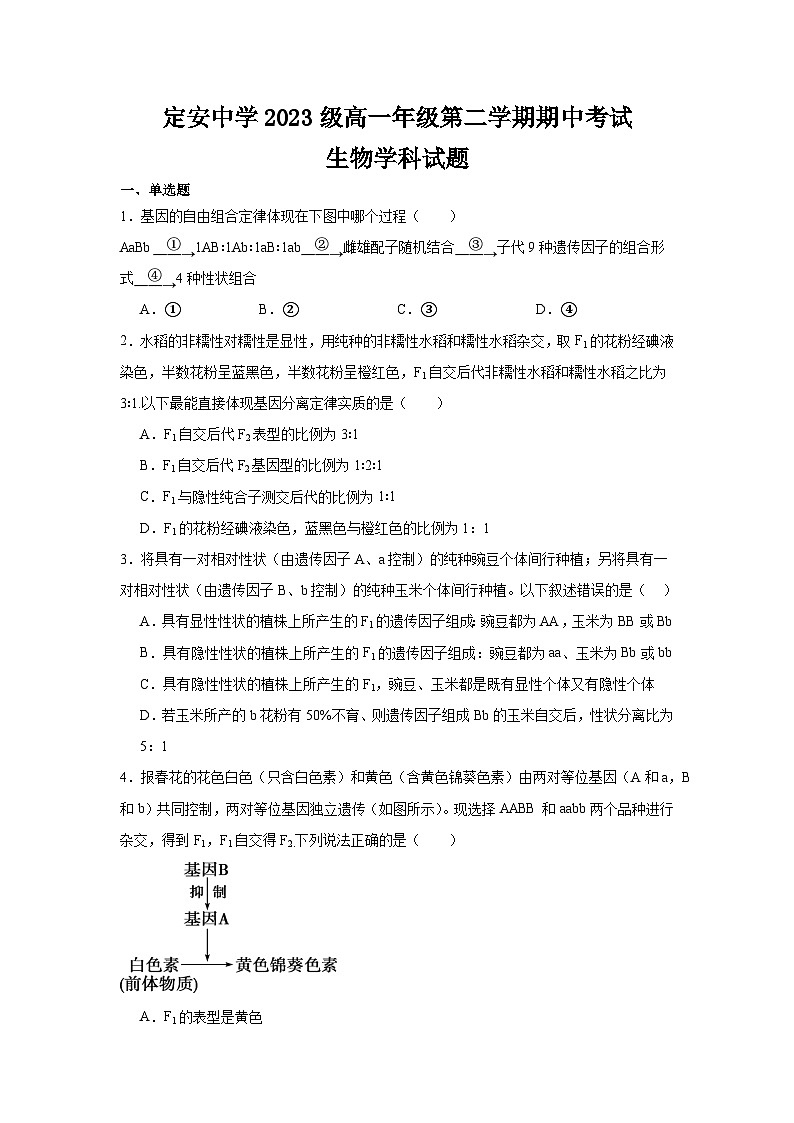 海南省定安县定安中学2023-2024学年高一下学期4月期中生物试题第1页