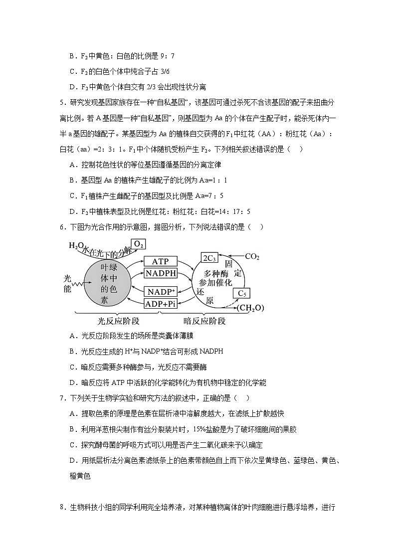 海南省定安县定安中学2023-2024学年高一下学期4月期中生物试题第2页