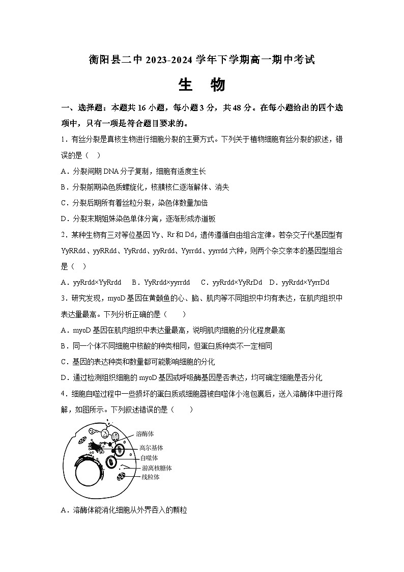 湖南省衡阳市衡阳县第二中学2023-2024学年高一下学期4月期中生物试题01