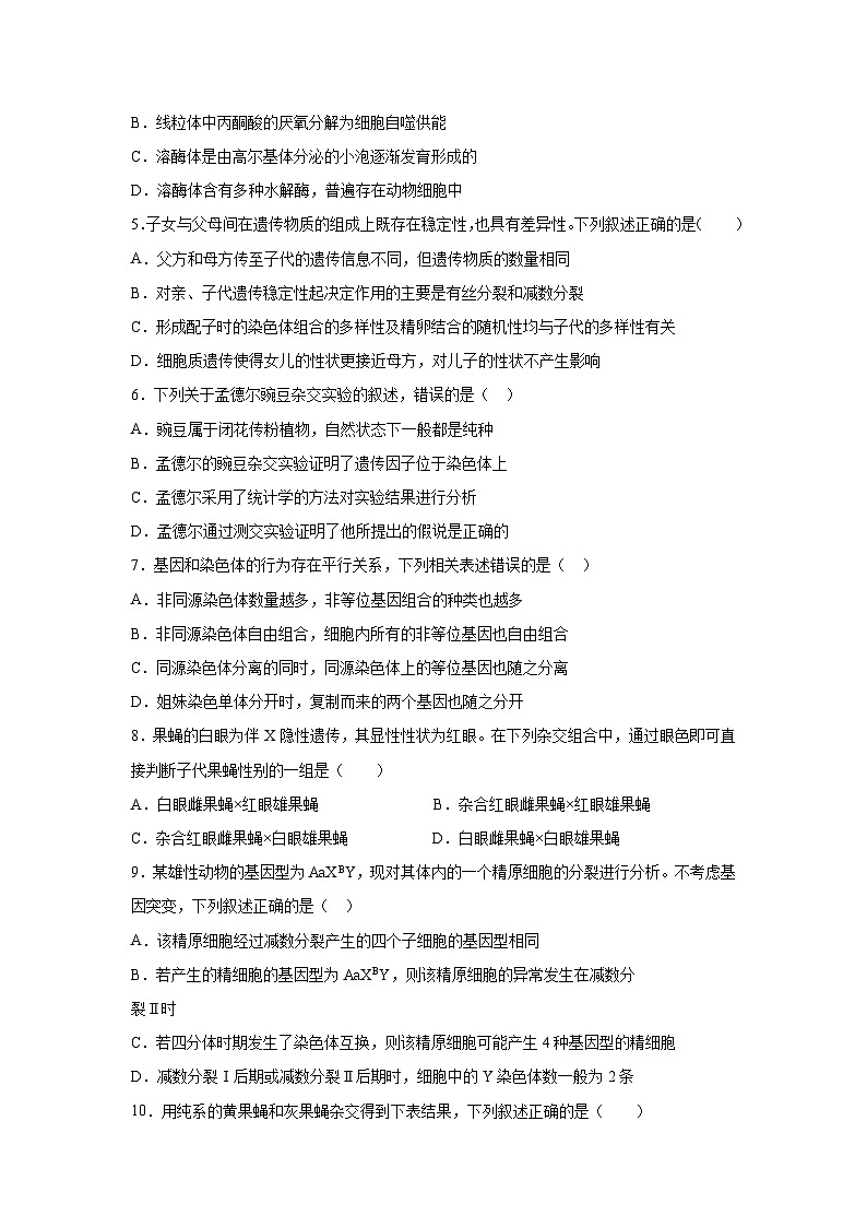 湖南省衡阳市衡阳县第二中学2023-2024学年高一下学期4月期中生物试题02