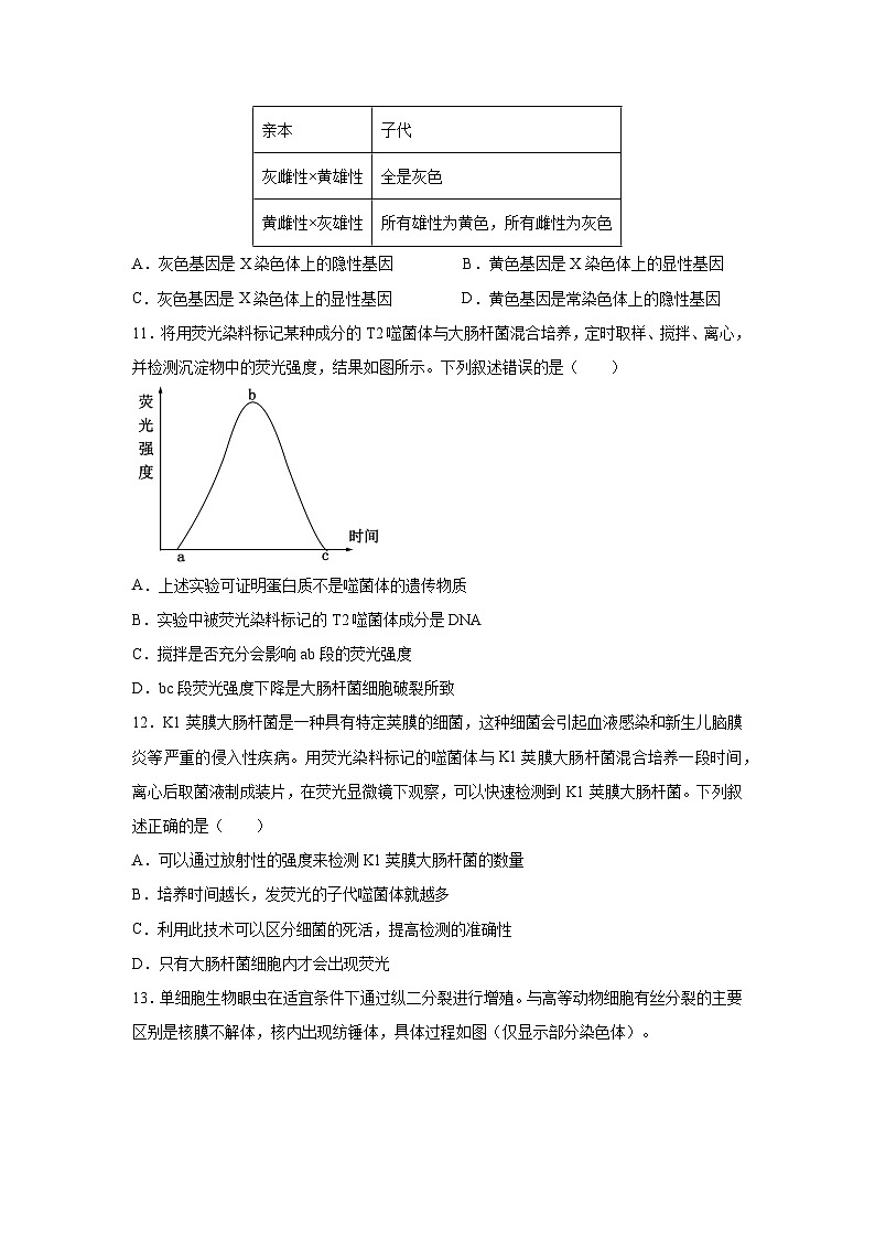 湖南省衡阳市衡阳县第二中学2023-2024学年高一下学期4月期中生物试题03