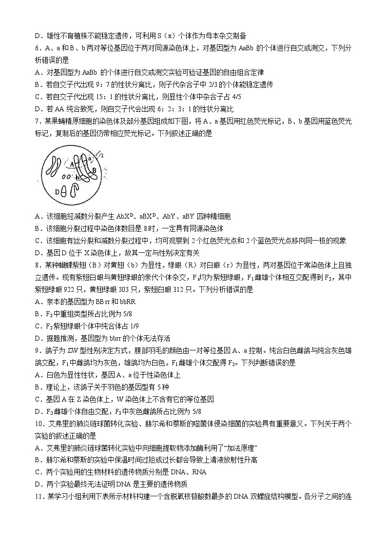 山东省烟台市2023-2024学年高一下学期期中生物试题02