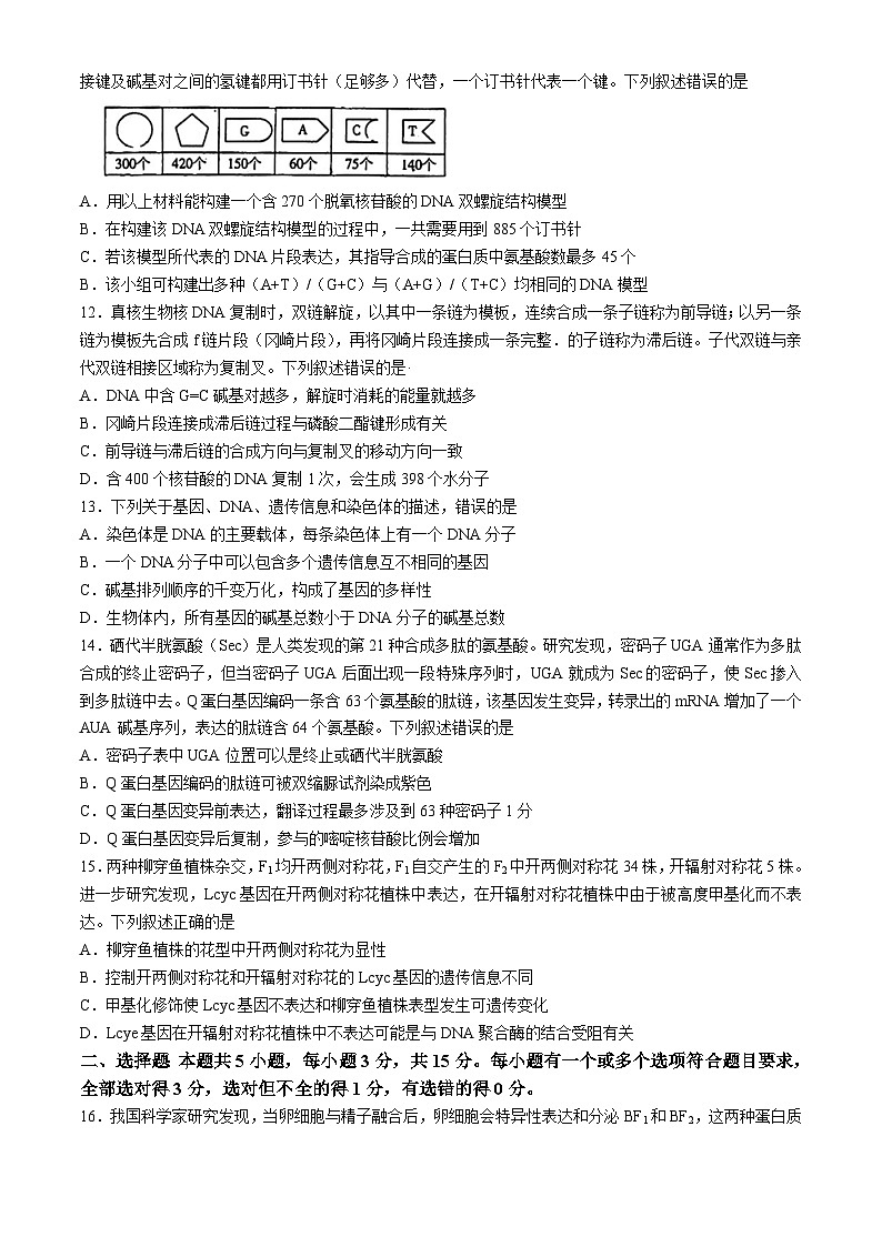 山东省烟台市2023-2024学年高一下学期期中生物试题03