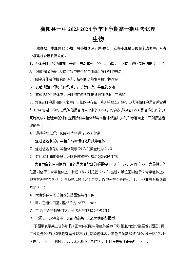 湖南省衡阳市衡阳县第一中学2023-2024学年高一下学期4月期中生物试题01