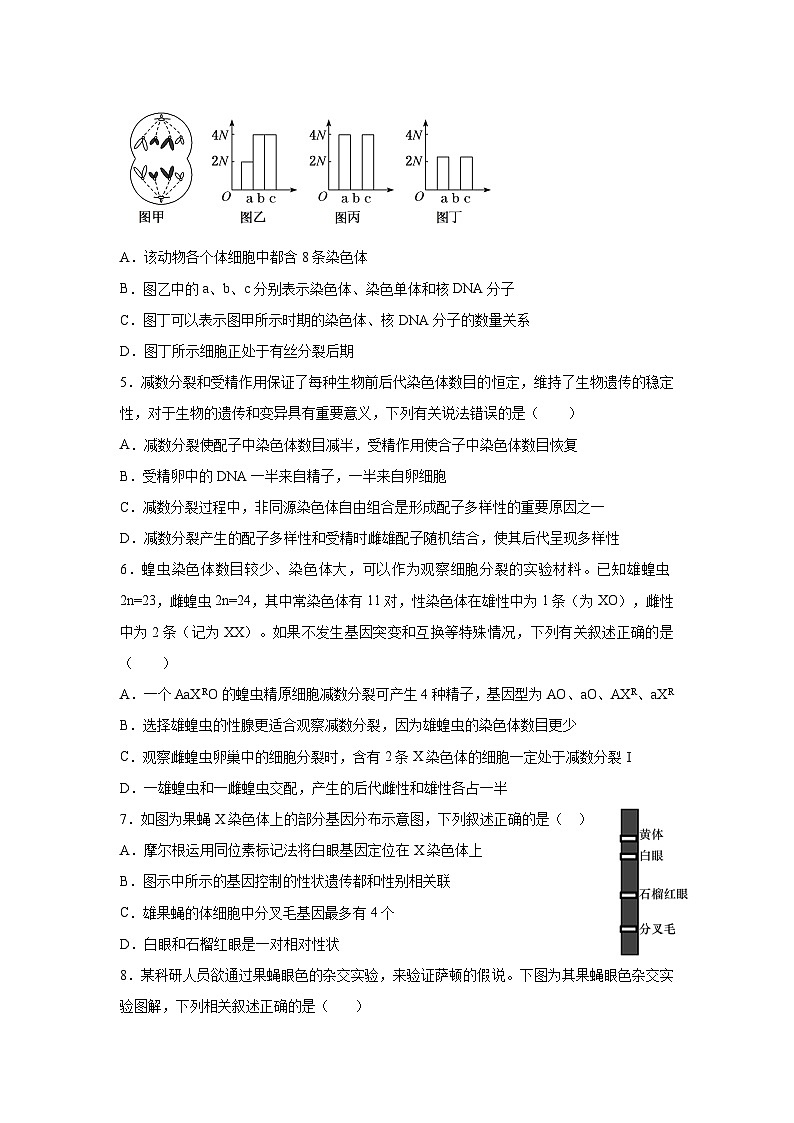 湖南省衡阳市衡阳县第一中学2023-2024学年高一下学期4月期中生物试题02