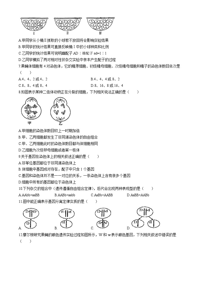 天津市河北区第十四中学2023-2024学年高一下学期期中生物试题(无答案)02