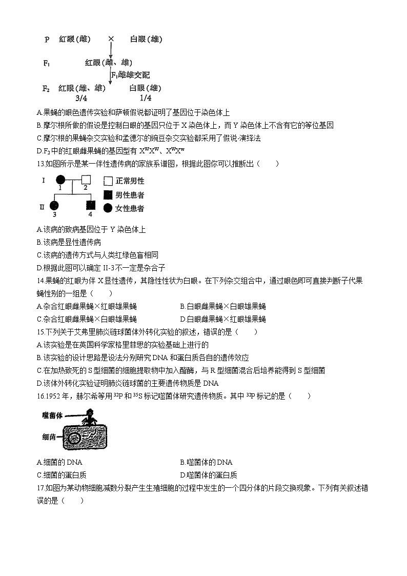 天津市河北区第十四中学2023-2024学年高一下学期期中生物试题(无答案)03