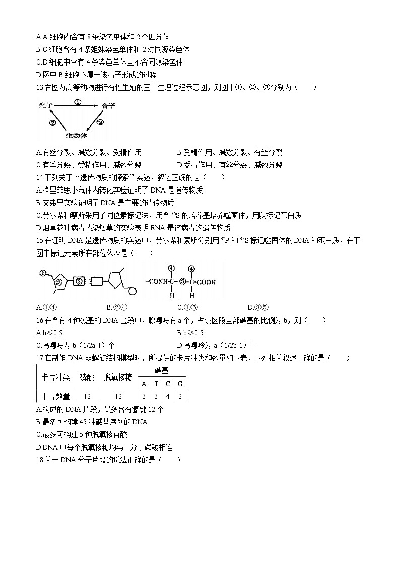 天津市南开区第四十三中学2023-2024学年高一下学期期中考试生物试题(无答案)第3页