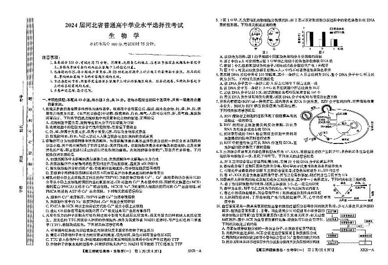 2024届河北省沧州市部分高中高三下学期二模生物试题01