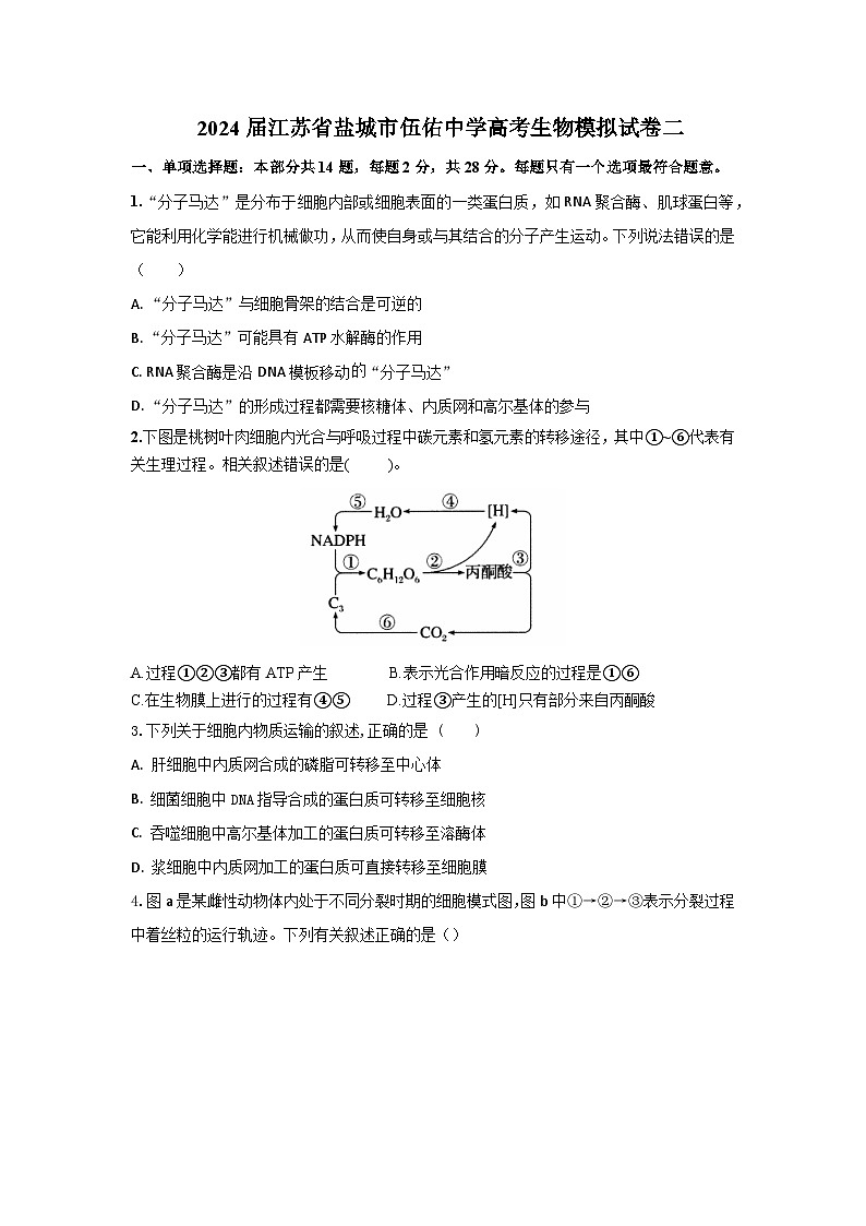 2024届江苏省盐城市伍佑中学高三下学期模拟二生物试题01