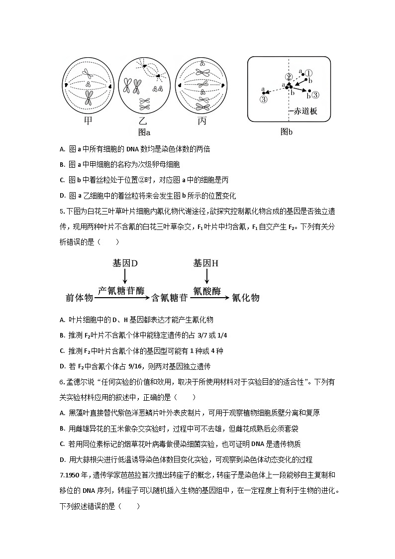 2024届江苏省盐城市伍佑中学高三下学期模拟二生物试题02