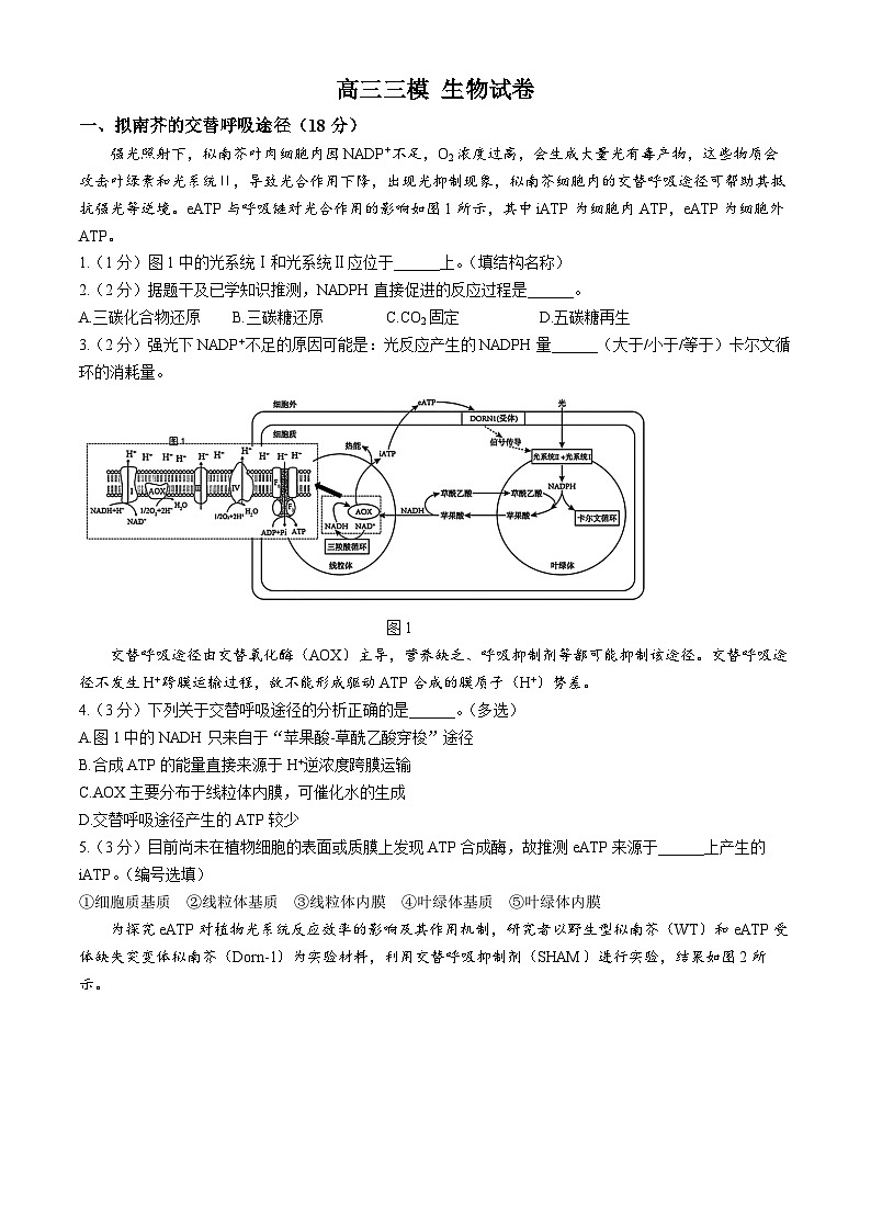2024届上海市浦东新区部分学校高三下学期三模考试生物试卷第1页