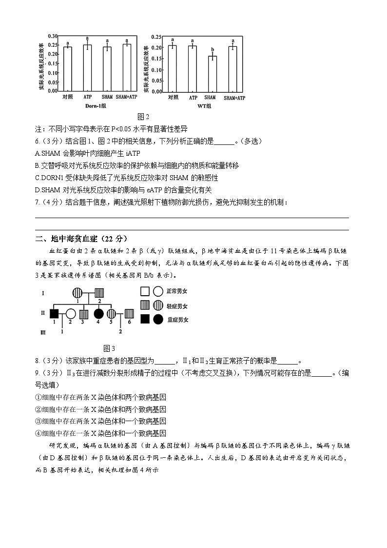 2024届上海市浦东新区部分学校高三下学期三模考试生物试卷第2页