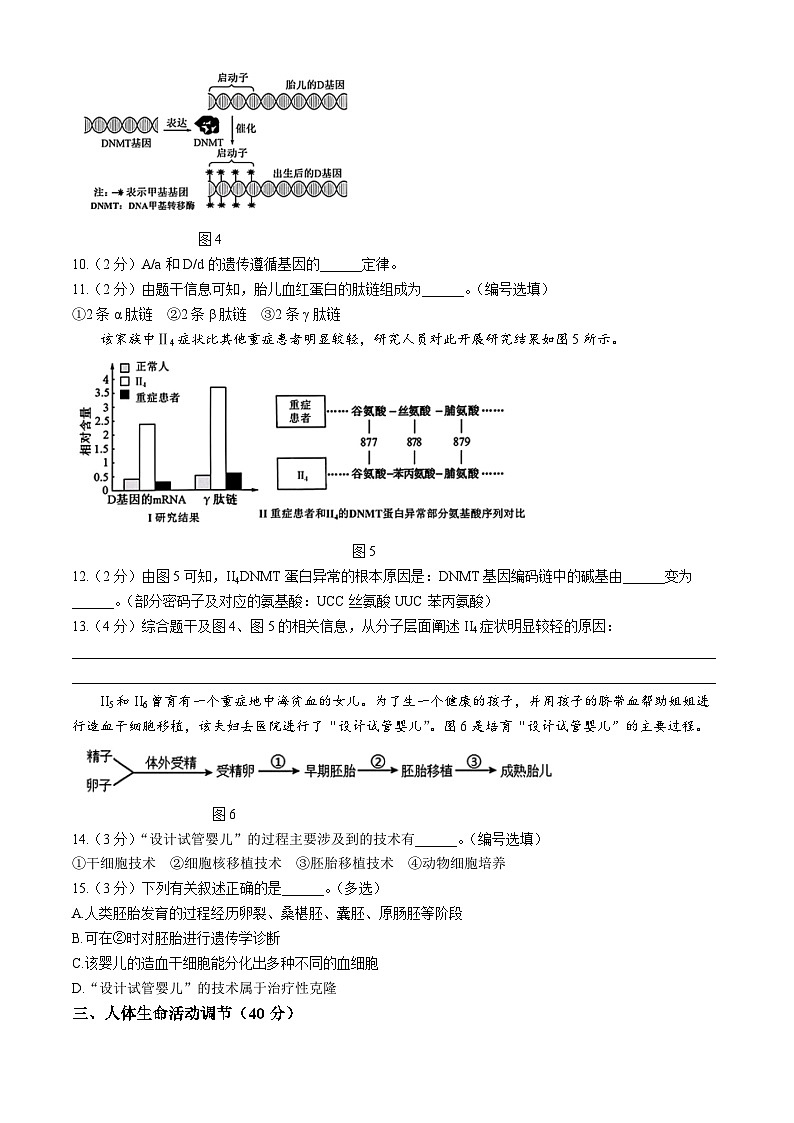 2024届上海市浦东新区部分学校高三下学期三模考试生物试卷第3页
