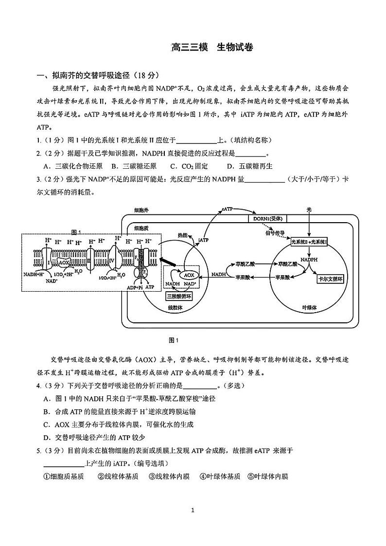 2024届上海市浦东新区部分学校高三下学期三模考试生物试卷01