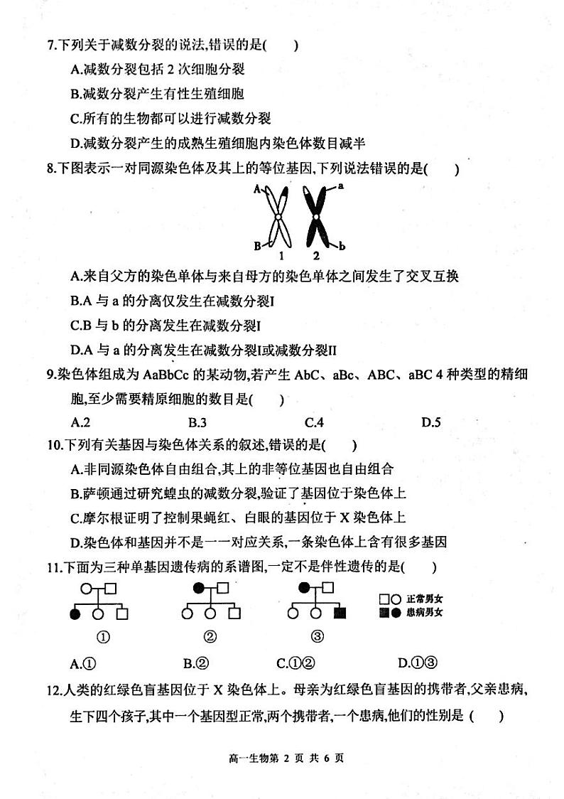 河南省周口市鹿邑县2023-2024学年高一下学期4月期中生物试题02
