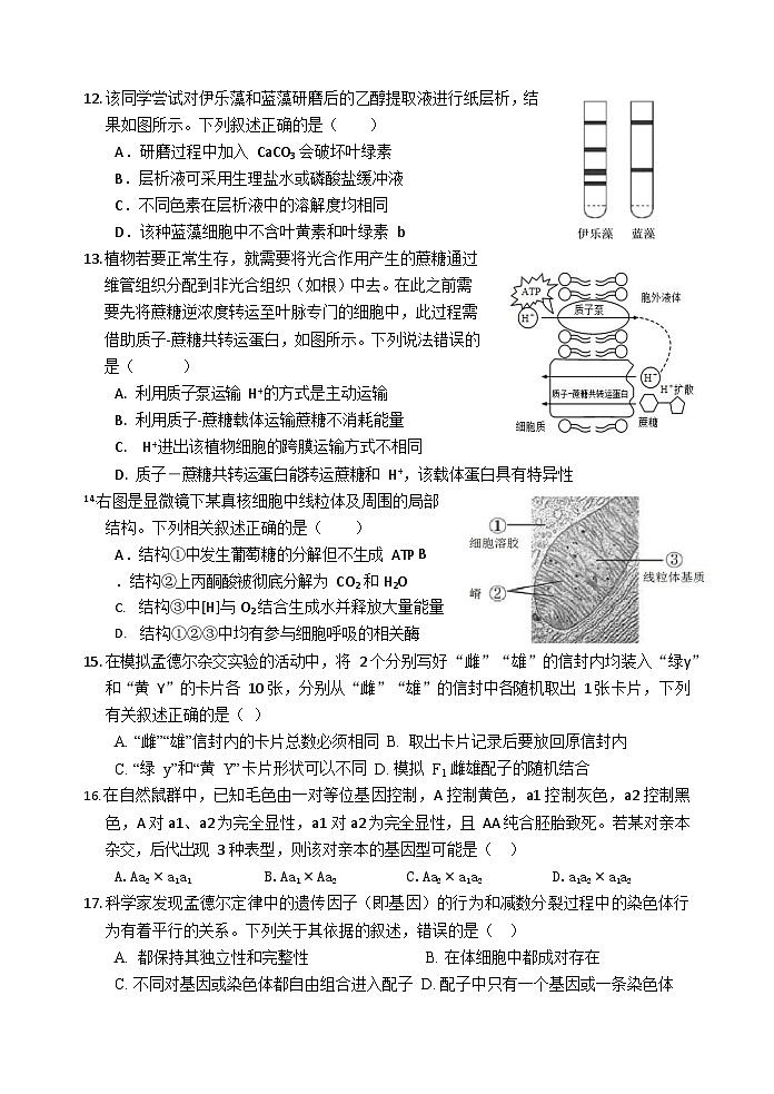 浙江省浙东北（ZDB）联盟2022-2023学年高一下学期期中联考生物试题第3页
