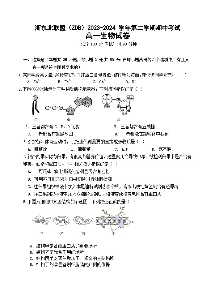 浙江省浙东北（ZDB）联盟2023-2024学年高一下学期期中联考生物试题第1页