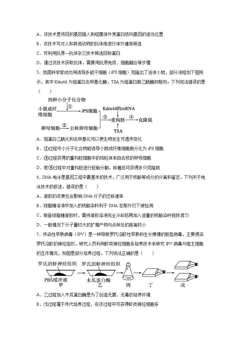 广西钦州市第四中学2023-2024学年高二下学期期中考试生物试卷第2页