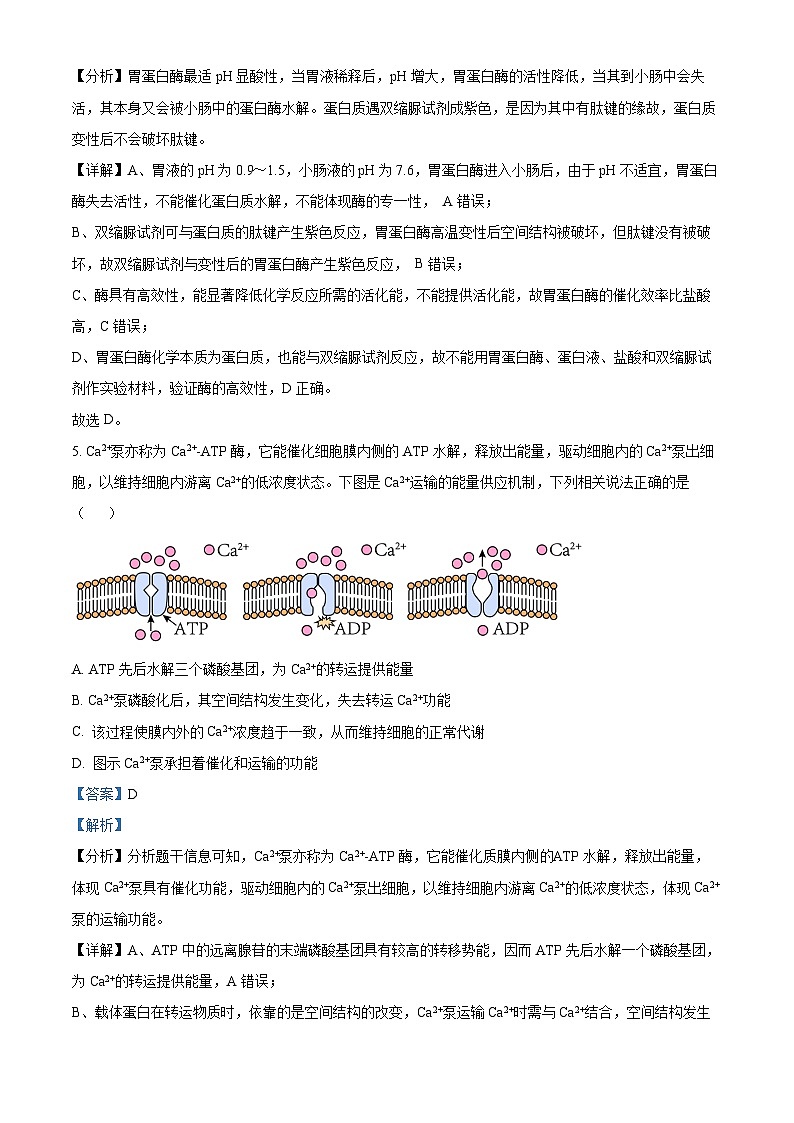 湖北省宜昌市部分省级示范高中2023-2024学年高一下学期期中考试生物试题（原卷版+解析版）03