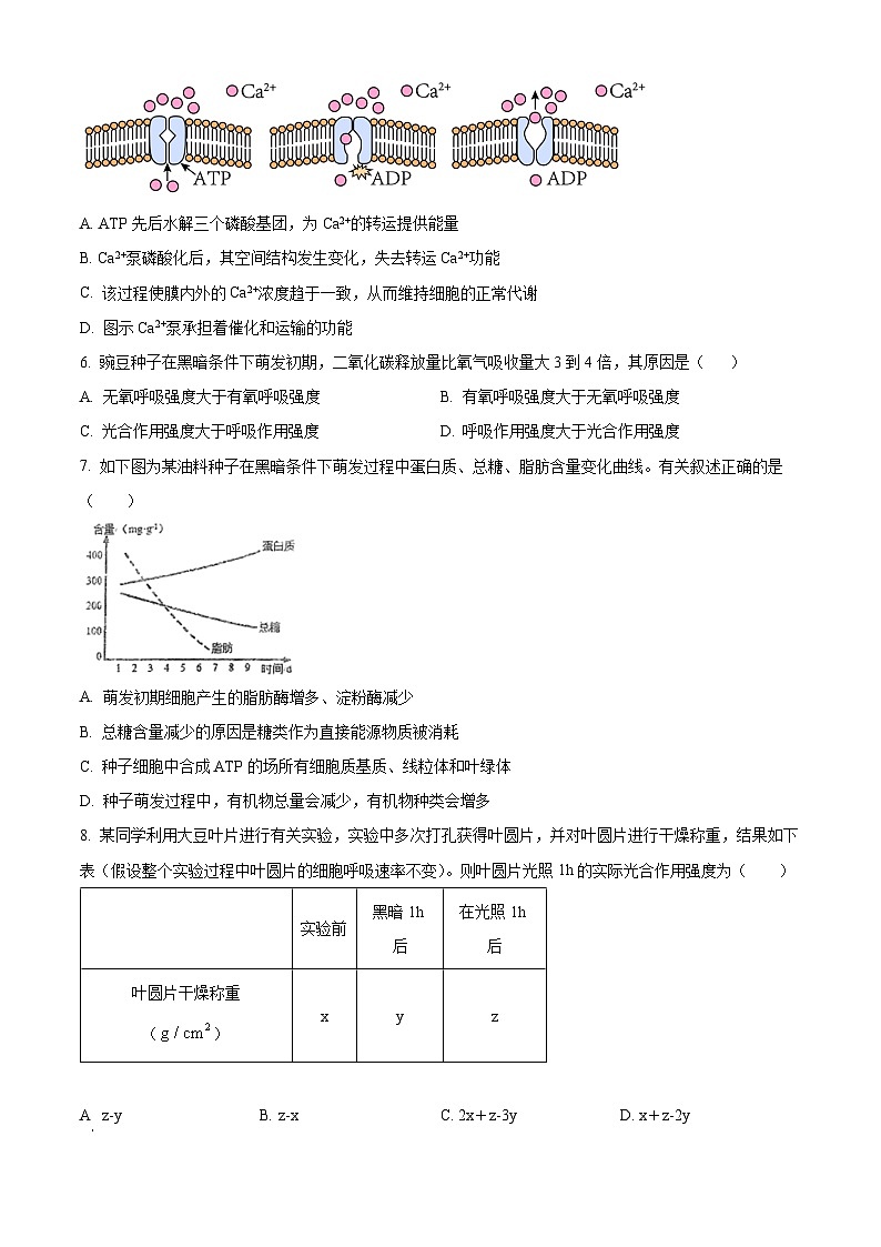 湖北省宜昌市部分省级示范高中2023-2024学年高一下学期期中考试生物试题（原卷版+解析版）02