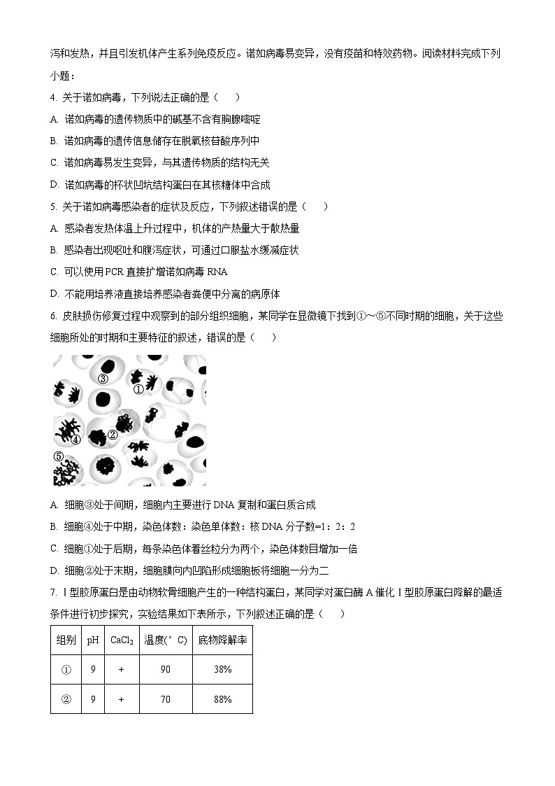 浙江省山海协作体2023-2024学年高二下学期4月期中生物试题（原卷版+解析版）02