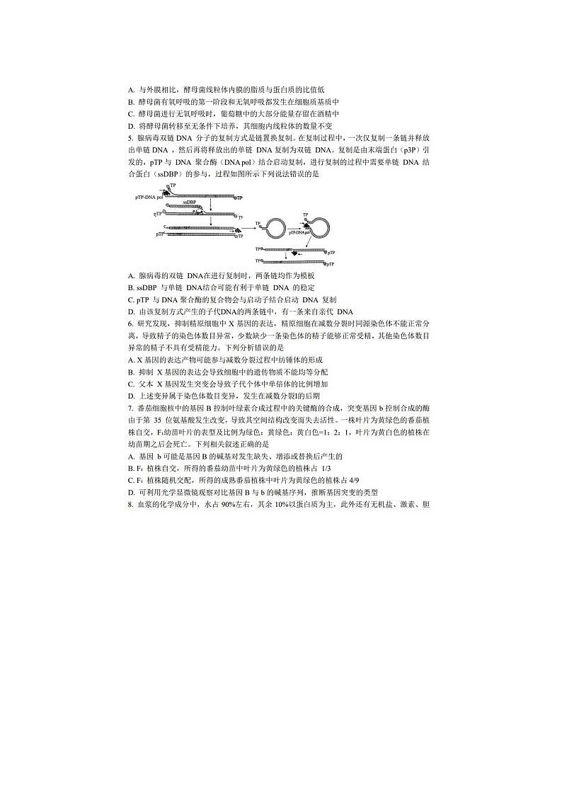 2024届山东齐鲁名校高三下学期三月大联考生物试题02