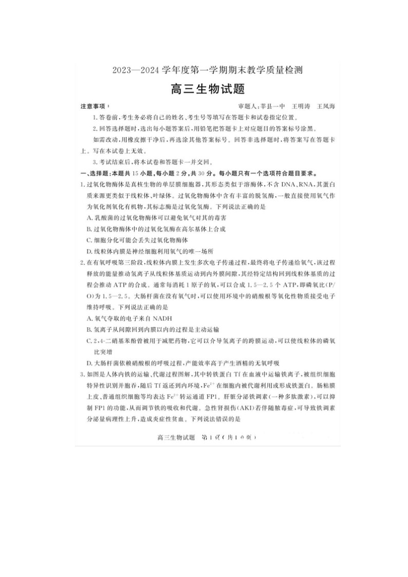 2024届山东聊城高三上学期生物期末考试题01