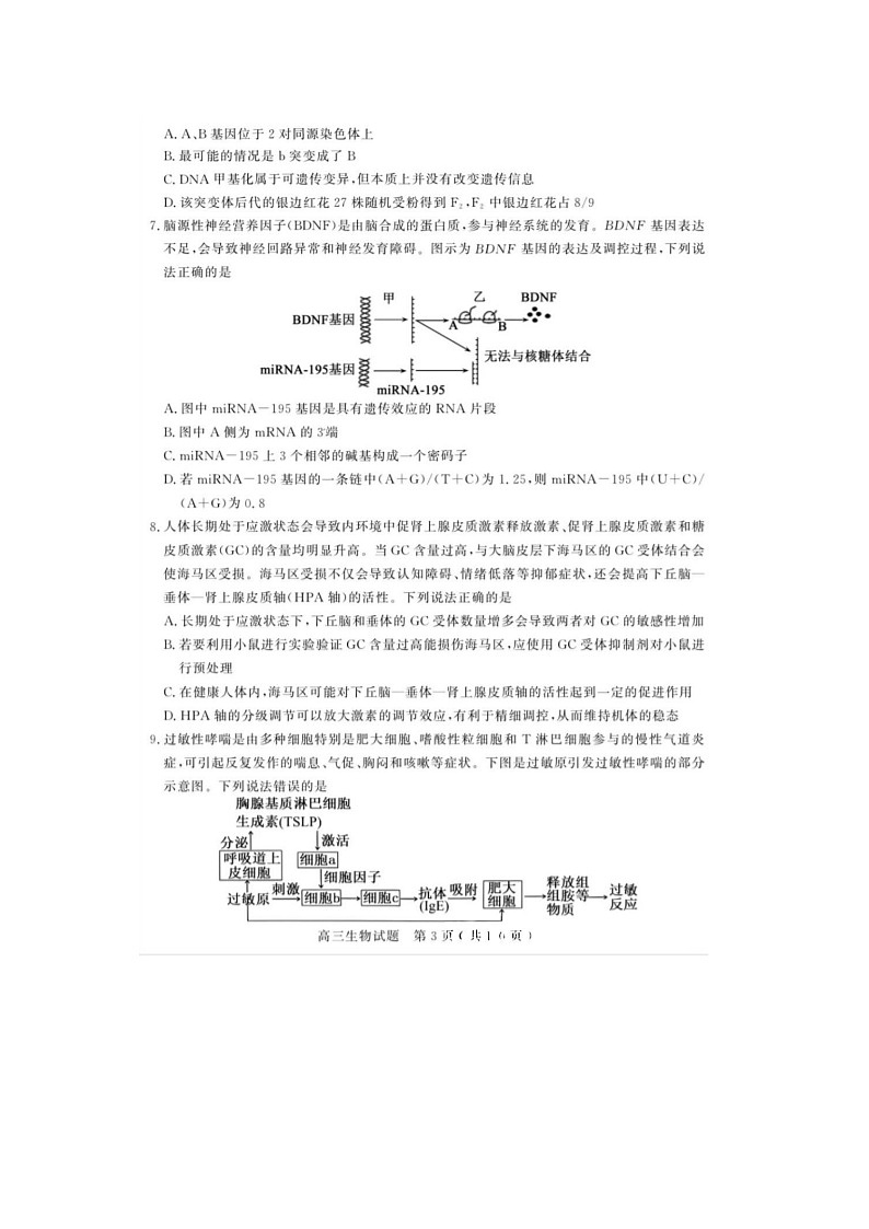 2024届山东聊城高三上学期生物期末考试题03