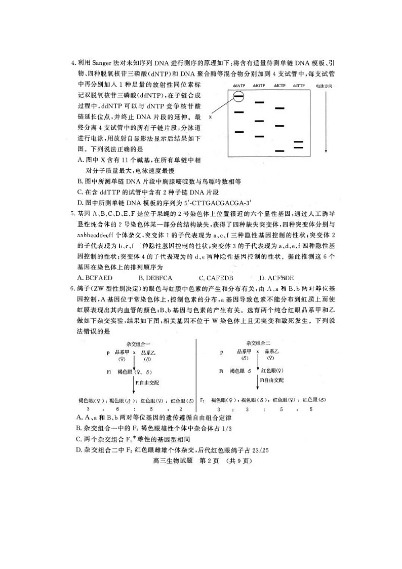 2024届山东济南高三上学期生物期末考试题第2页