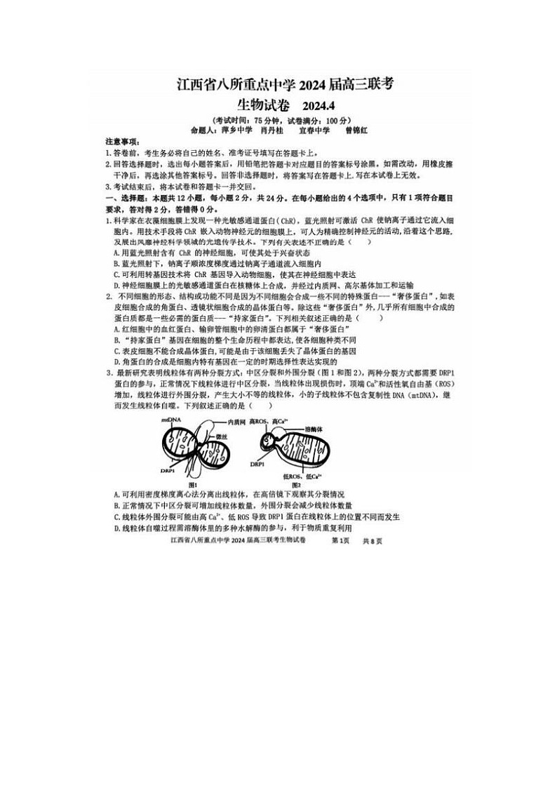 2024届江西省八所重点中学高三下学期4月联考生物试题01