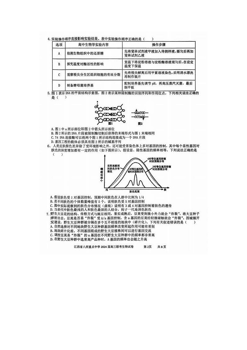 2024届江西省八所重点中学高三下学期4月联考生物试题02