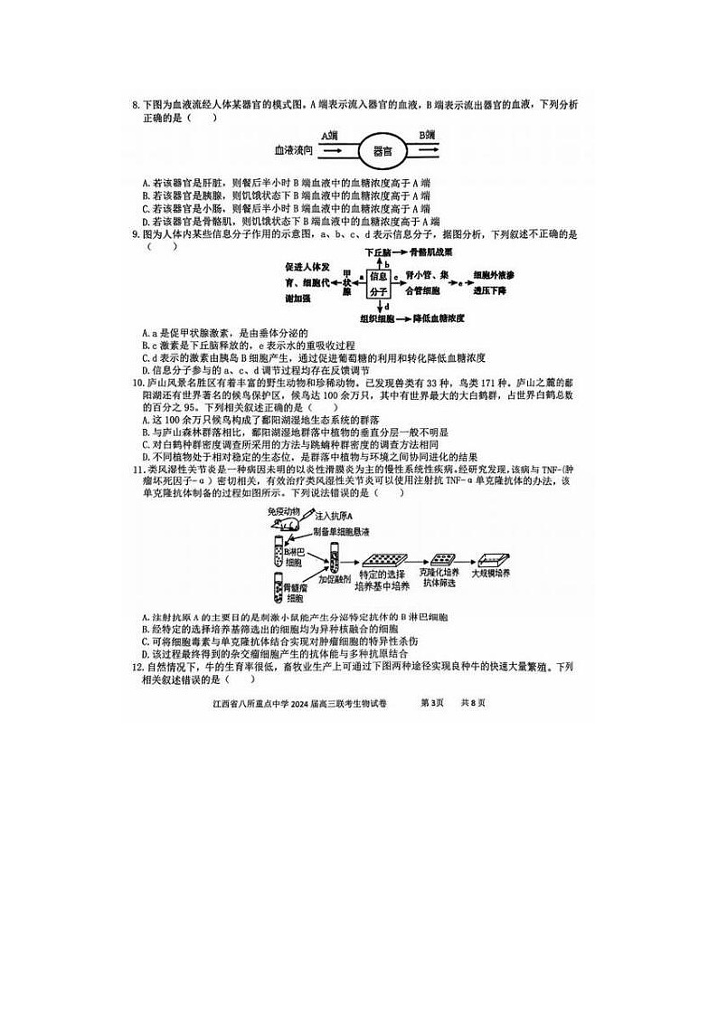 2024届江西省八所重点中学高三下学期4月联考生物试题03