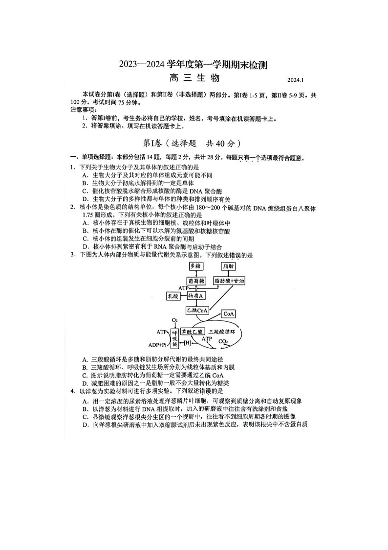 2024届江苏省扬州高三上学期生物期末检测试题01