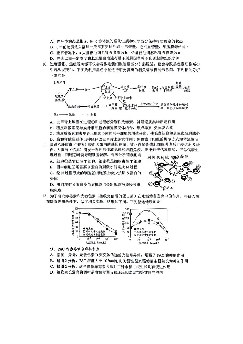 2024届江苏省扬州高三上学期生物期末检测试题03