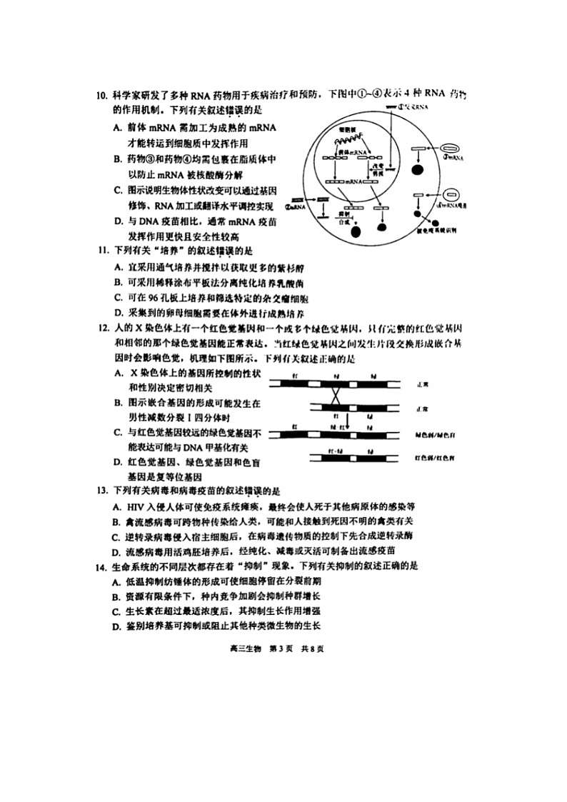 2024届江苏省苏州高三上学期生物期末试题第3页