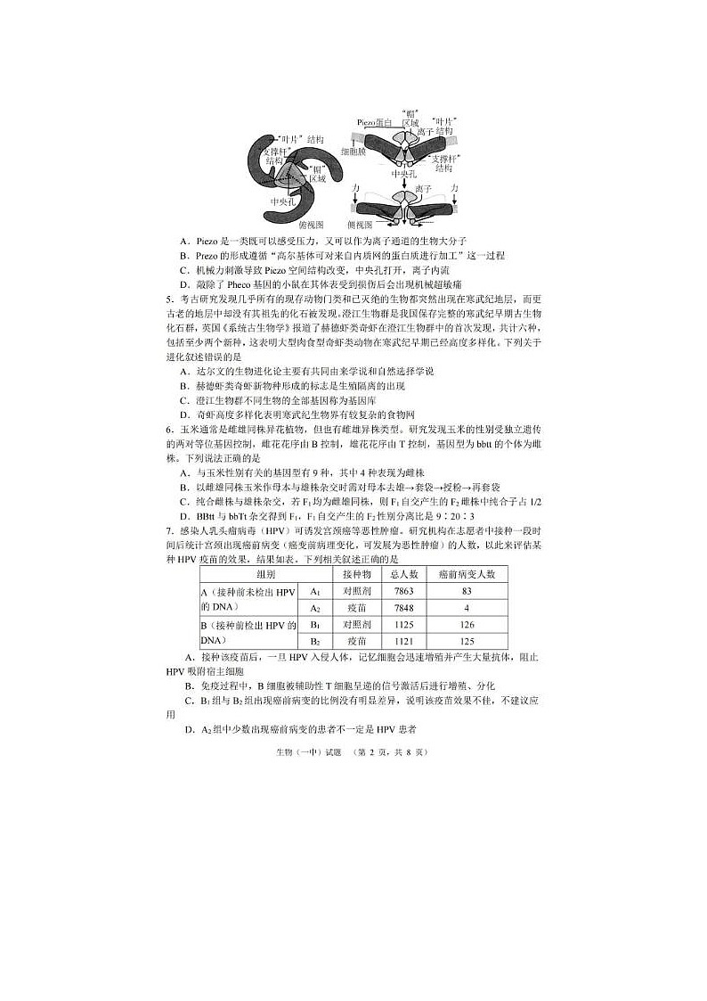 2024届湖南省长沙一中高考适应性演练生物试题第2页