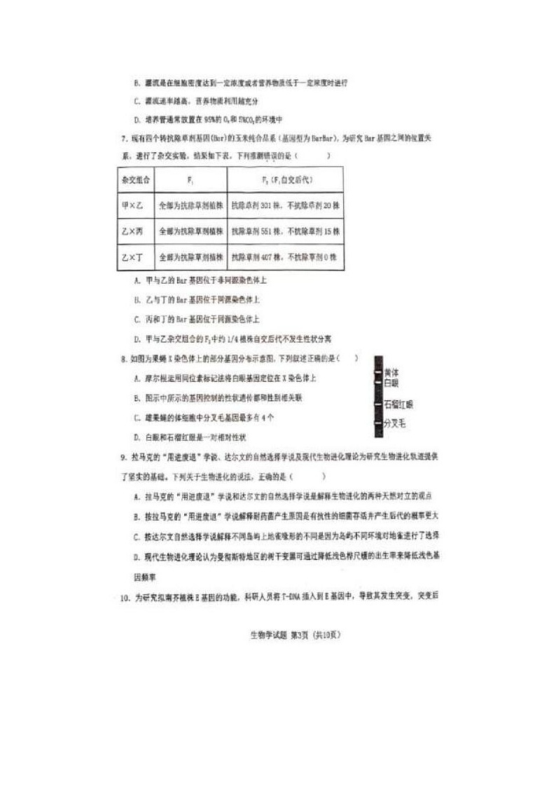 2024届湖北省重点十一校高三第二次联考生物试题第3页