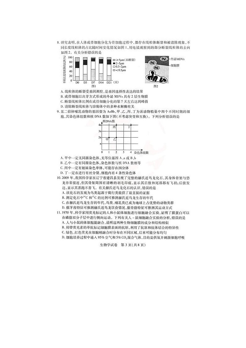 2024届湖北省高三下学期4月调研考试生物试题第3页